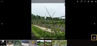 Bilderreihe verschwinden lassen.webp