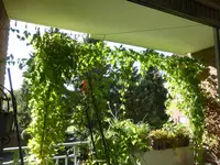 1538119663086.webp