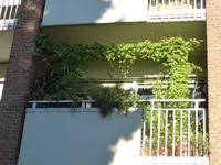 1538119726027.webp