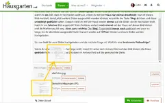 bilder_reihenfolge.webp