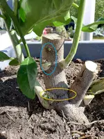 IMG_20180928_122059.webp