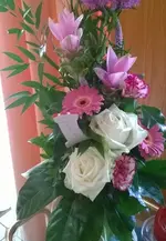 bl90.webp