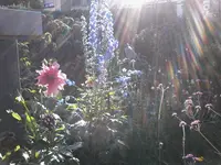20160907_171432.jpg