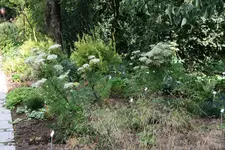 011.webp