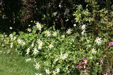 014.webp
