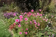 018.webp