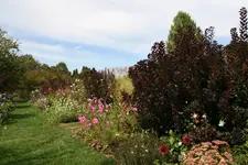 019.webp