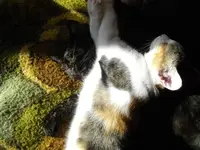 IMGP6874.webp