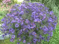 BILD0728.webp