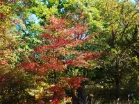 DSCF1814.JPG