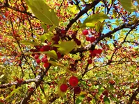 DSCF1824.webp