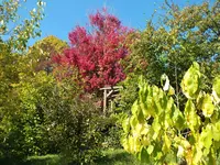 DSCF1825.webp
