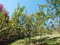 DSCF1826.webp