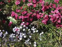 DSC03721.webp