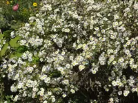 DSC03722.webp