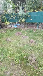 20180930_190020.webp
