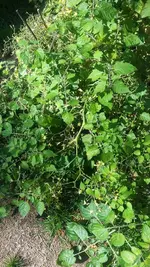 20180930_133250.webp