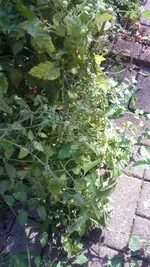 20180930_133215.webp