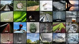 September 2018 Linien - Copy.webp