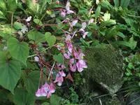DSCF1817.webp