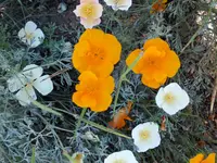 DSCF1823.webp