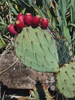 DSCF1820.webp