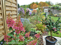Herbst 10.webp