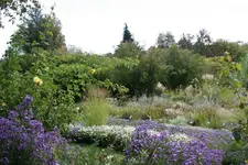 034.webp