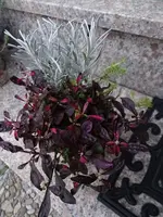 Herbstzauber_00001_Bildgröße ändern.webp