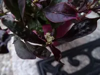 Herbstzauber_00003_Bildgröße ändern.webp