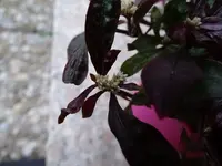 Herbstzauber_00004_Bildgröße ändern.webp
