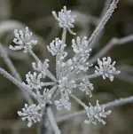 IMG_0095s.webp