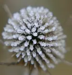 IMG_0112s.webp
