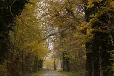 IMG_1338a.webp