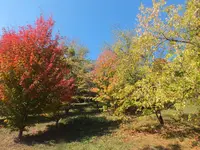 DSCF1829.webp