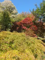 DSCF1830.webp