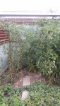 20180828_183202.jpg