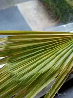IMG_20181002_125213.webp