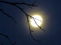 image003.webp