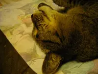 IMGP6889.webp