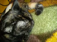 IMGP6885.webp