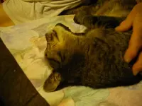 IMGP6888.webp