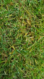 20181003_095721.webp