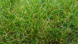 20181003_095742.webp