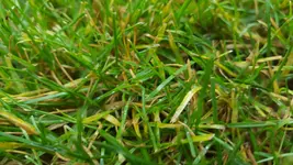 20181003_095727.webp