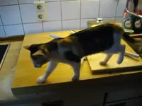 IMGP6891.webp