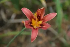 DSC07079.webp