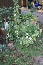 DSC07082.webp