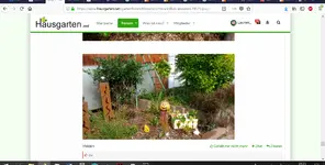 Hausgarten Screenshot.webp