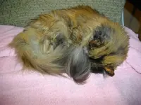 IMGP6901.webp